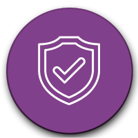 2026 RULES AND SAFETY (MS Mega Pickleball)