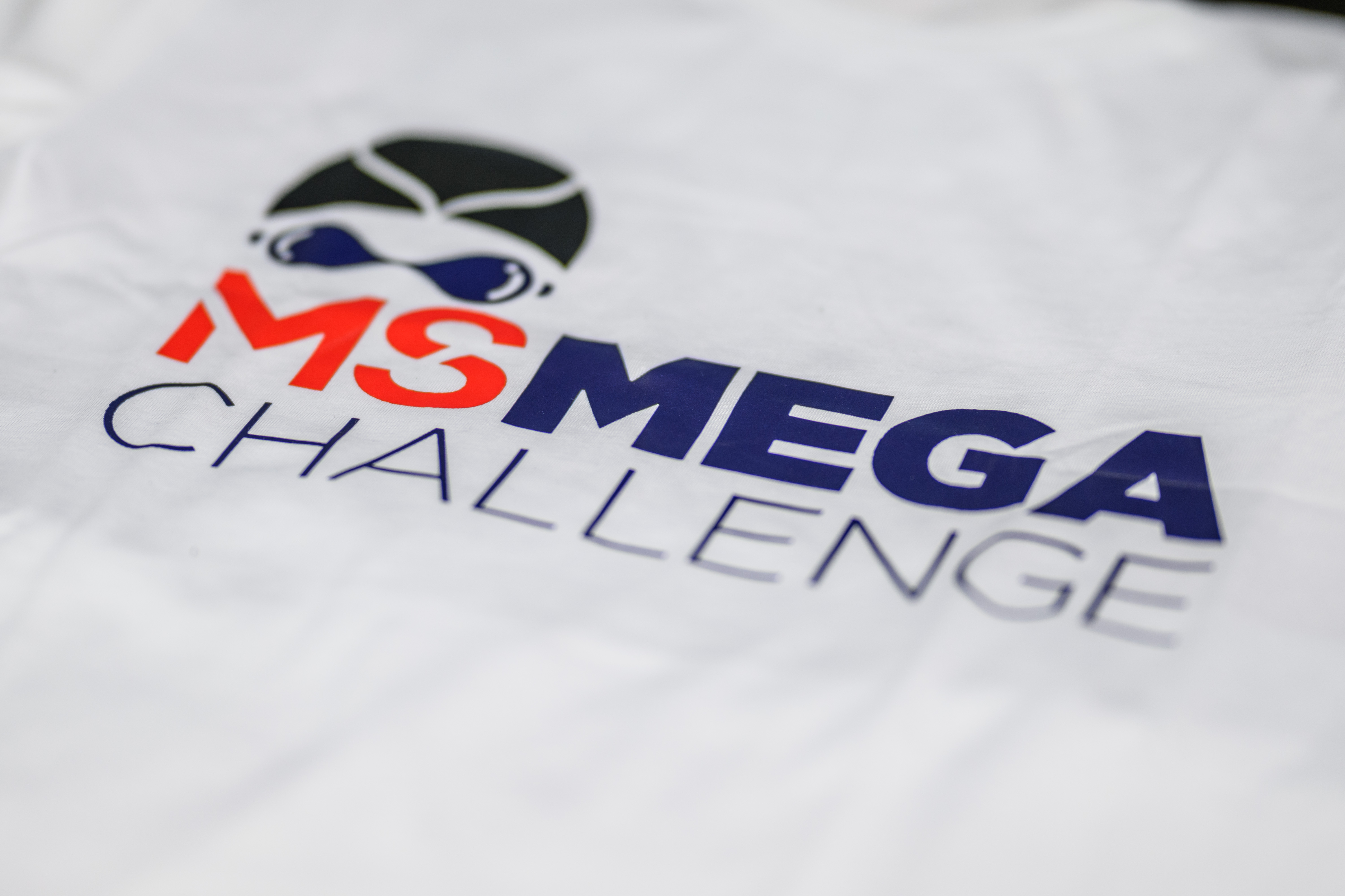 a white background with the words MS Mega Challenge